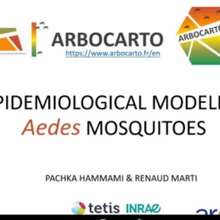 webinar arbocarto to model aedes albopictus map risk